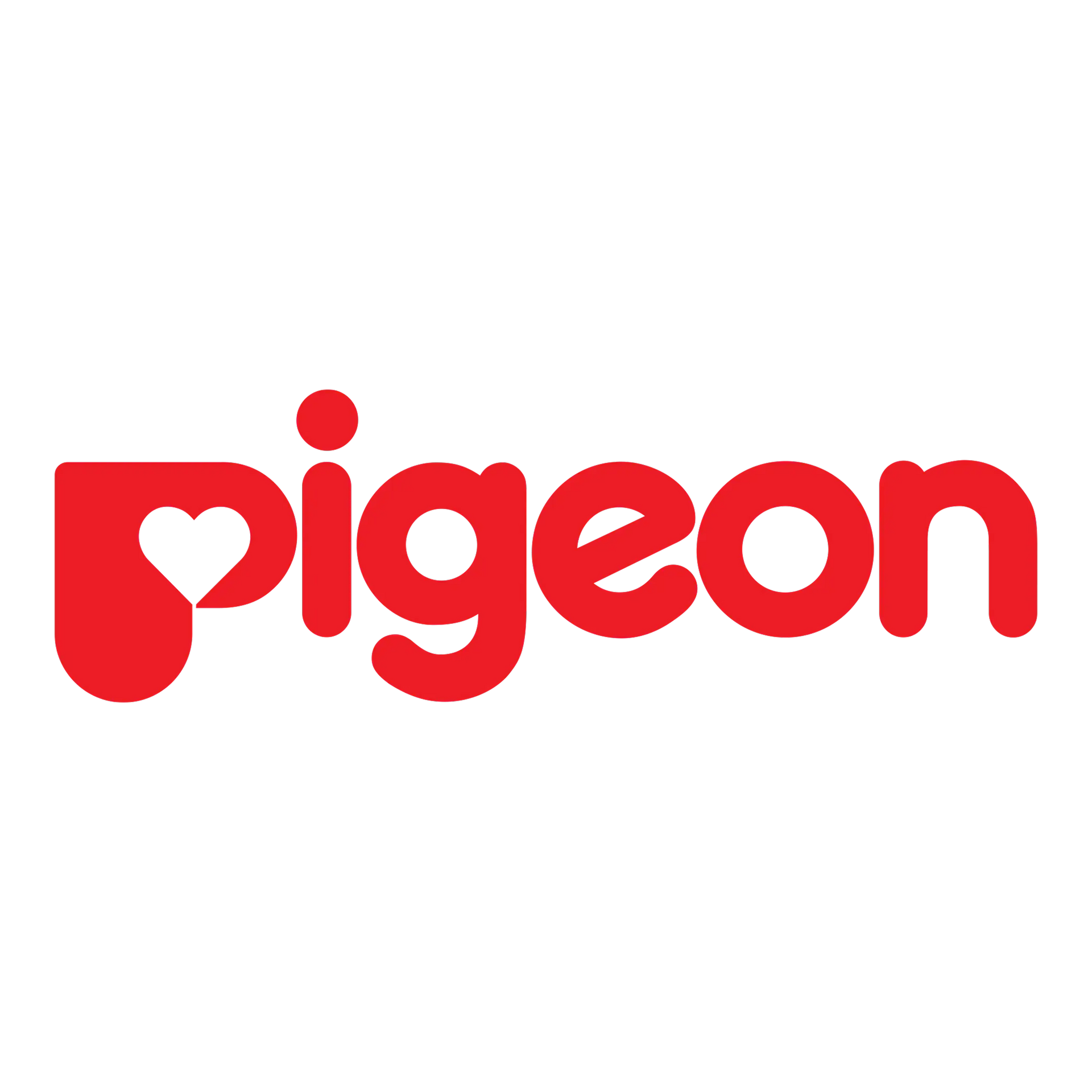 Pigeon