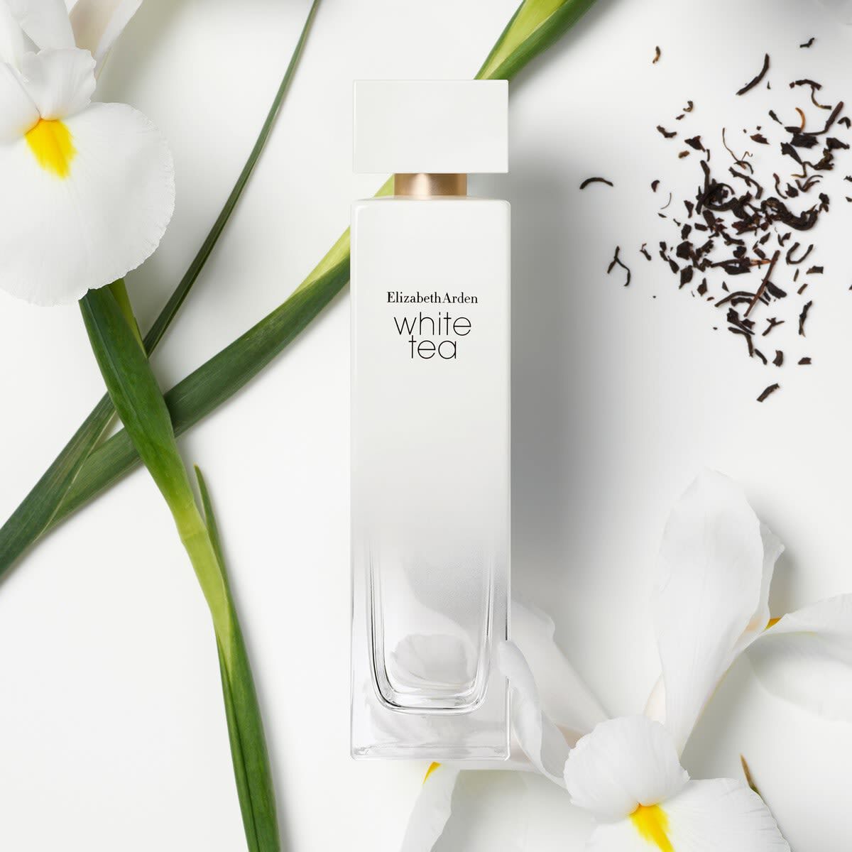 White tea elizabeth arden women edt 100 ml