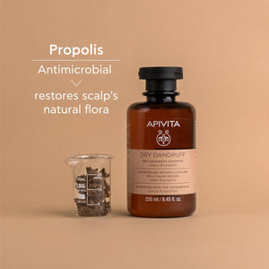 APIVITA Anti Dry Dandruff Shampoo (White Willow and Propolis)250ml