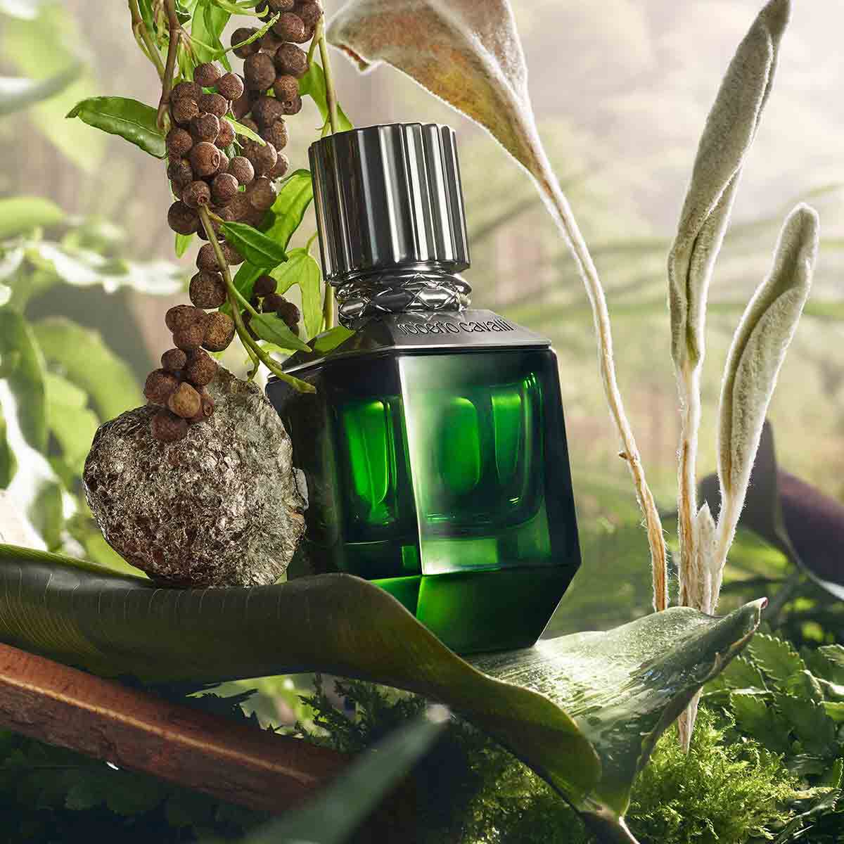 Roberto cavalli paradise found for men edt 50ml