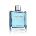 Davidoff Silver Shadow Altitude Eau de Toilette 100ml