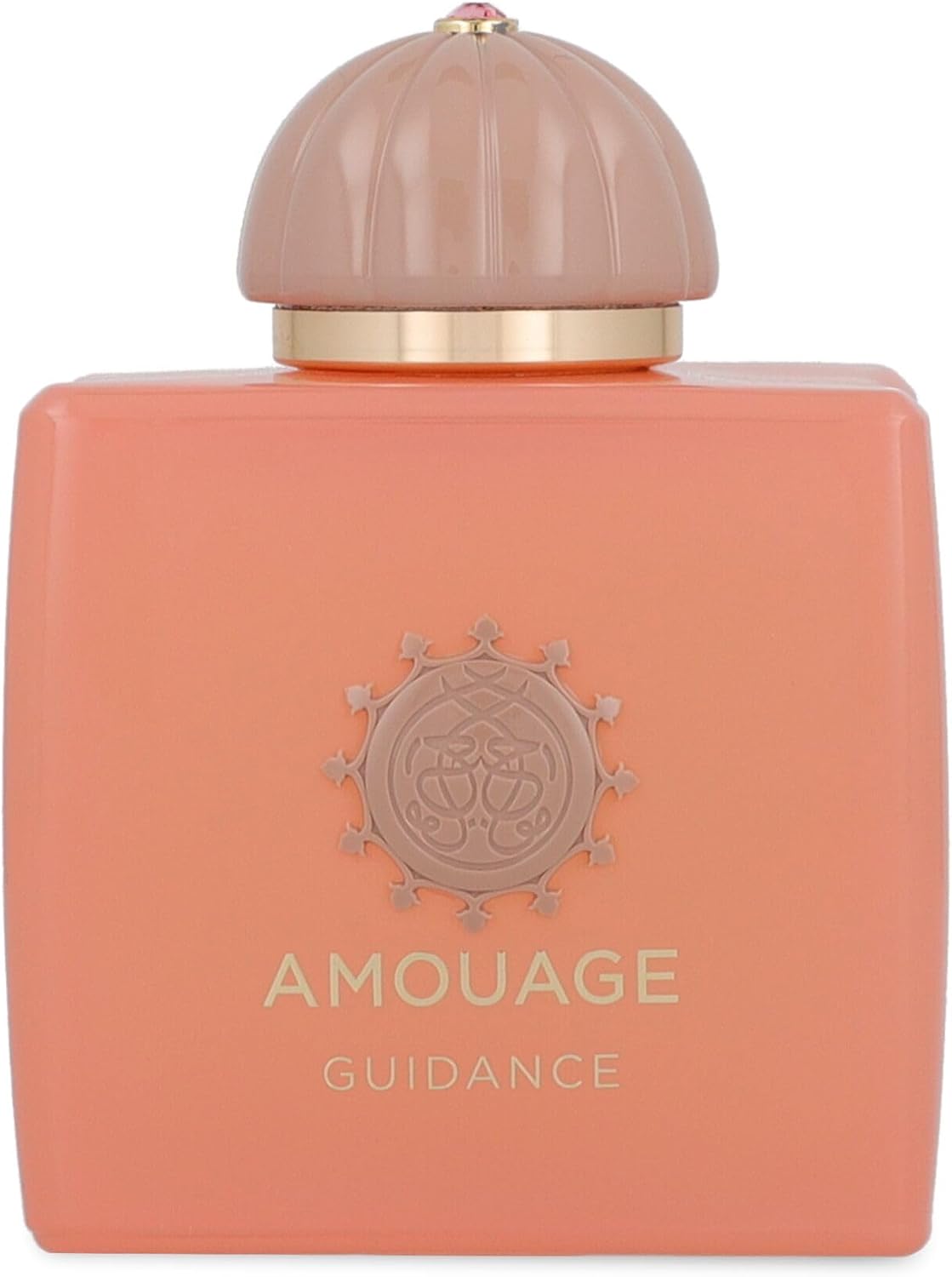 Amouage Guidance Eau de Parfum 100ml