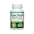 Natural Factors Lactase Enzyme 9000 FCC - 60 Capsules
