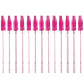 Queen lili make up brushes 12pc multi use