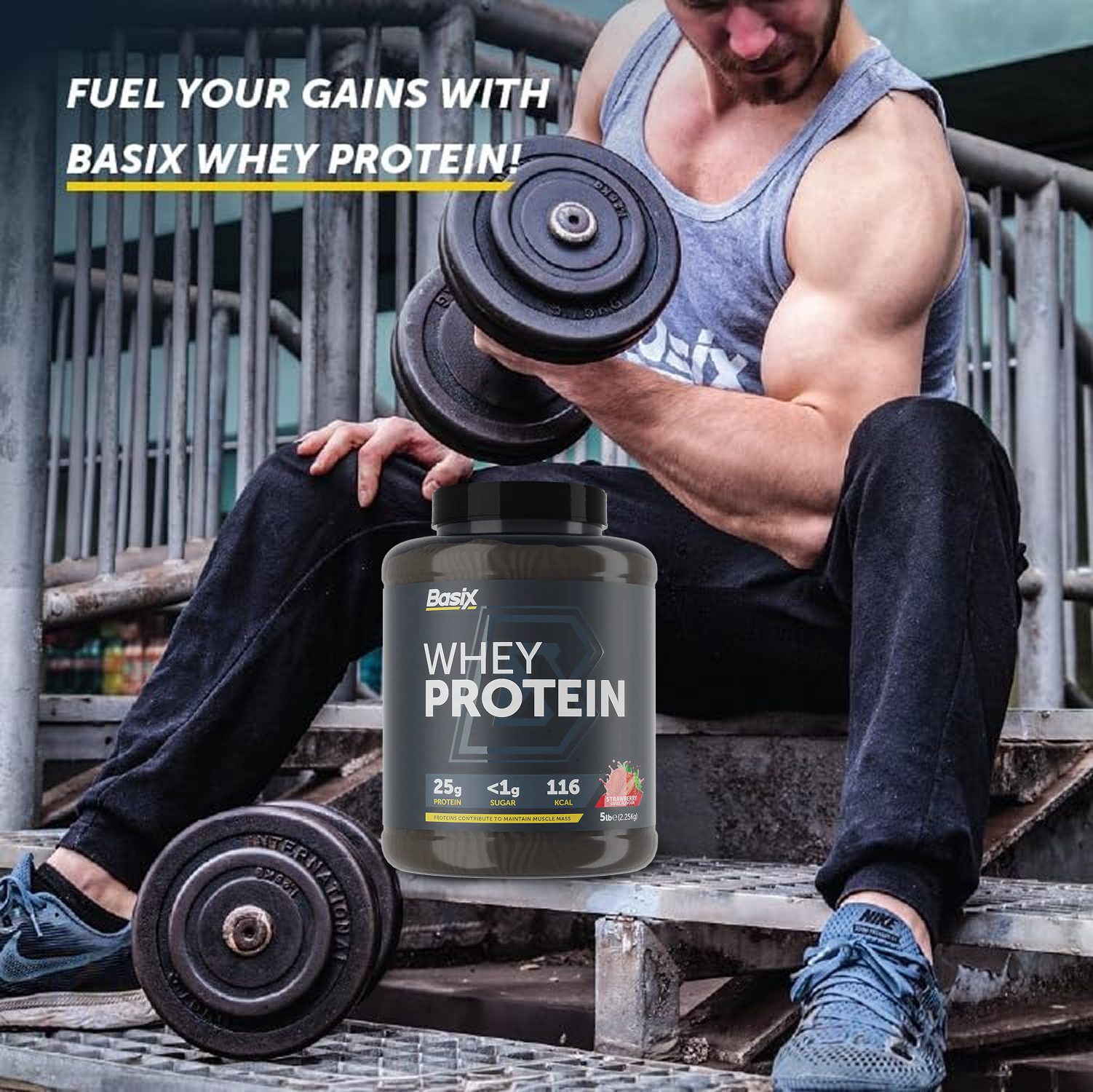Basix Muscle Whey Protein Strawberry Swirl 5 LB