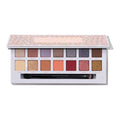 Anastasia beverly hills eyeshadow carly bible multicolor palette