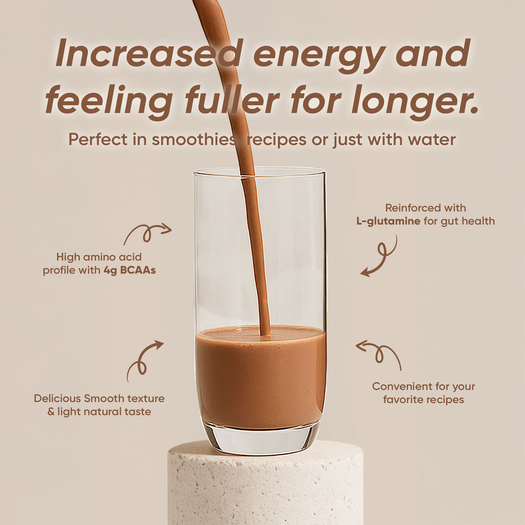 Rite Plant Protein Powder Chocolate 450g