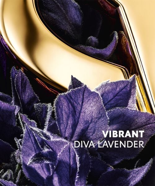 Yves Saint Laurent Libre Eau de Parfum - For Women - 50ml