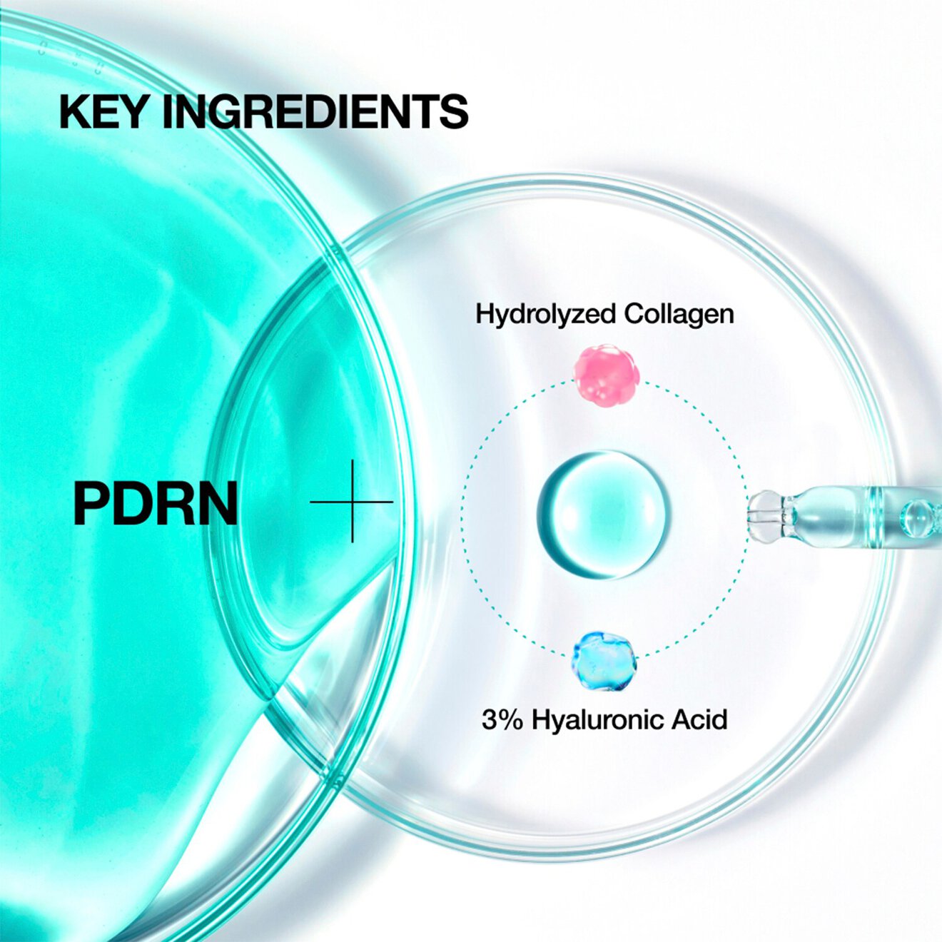 Anua PDRN Hyaluronic Acid Capsule 100+ Serum – Deep Hydration & Skin Repair 30ml
