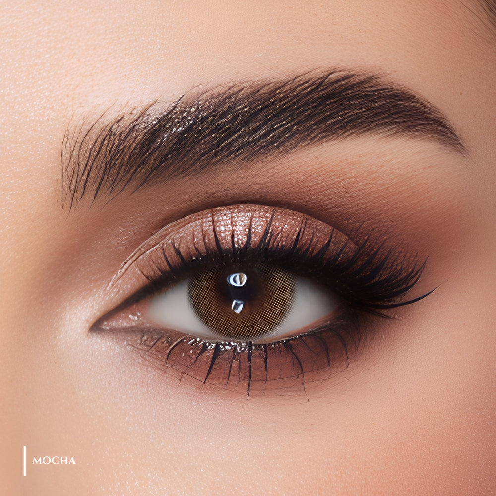 Ms Lens Daily Lenses Mocha
