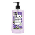 Lux Hand Wash 500ml Botanicals Skin Renewal