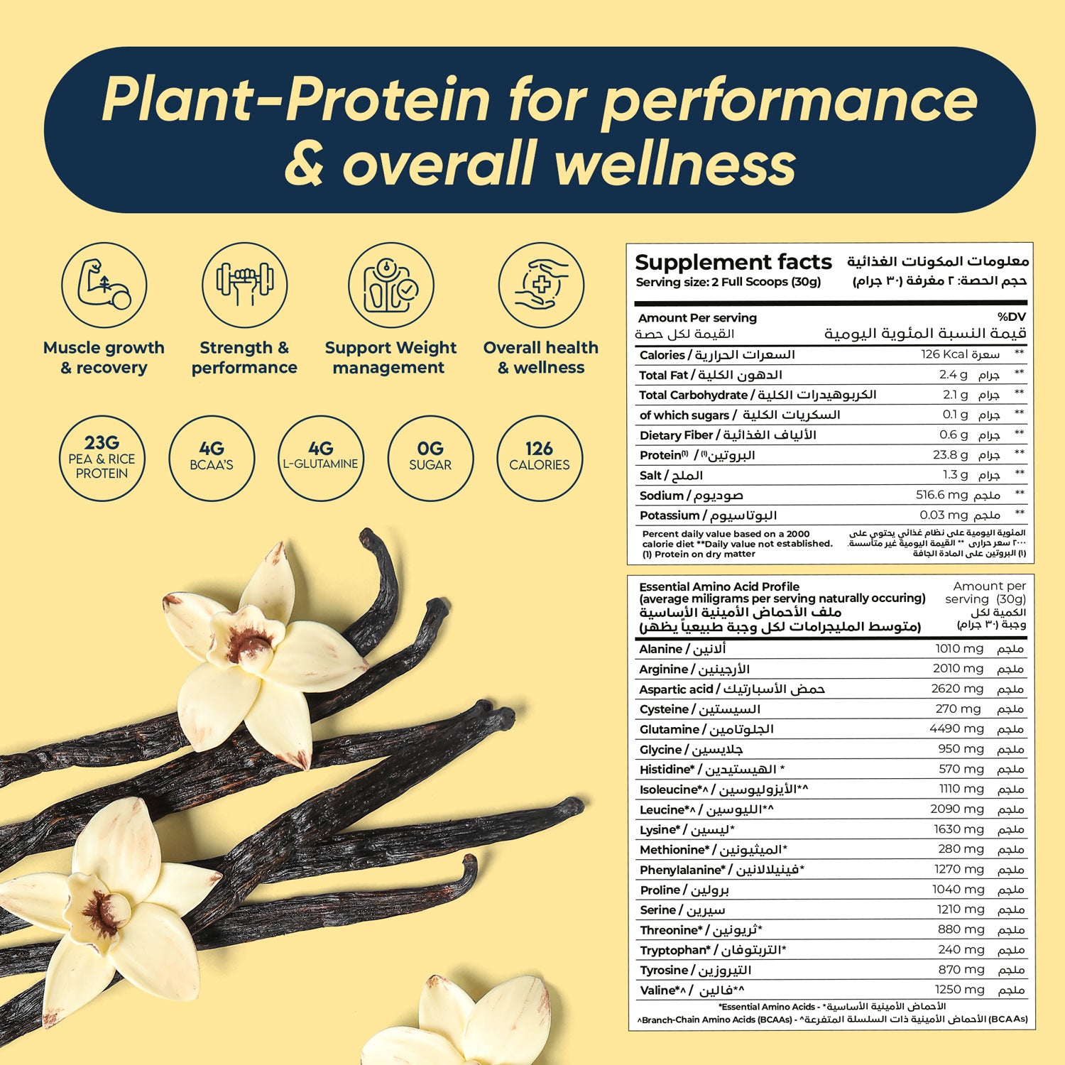 Rite Plant Protein Powder Vanilla Flavor 450g