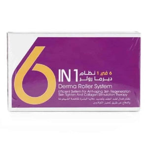 Derma Roller System 6 In 1 v2