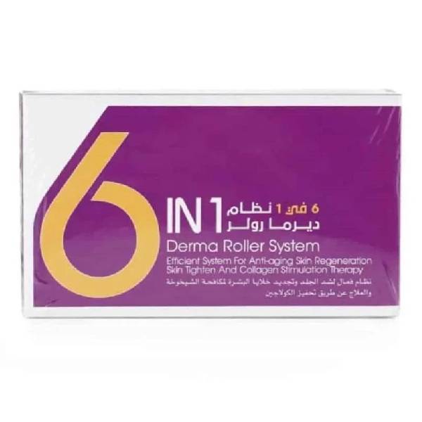 Derma Roller System 6 In 1 v2