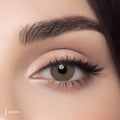 Ms Lens Daily Lenses Matcha
