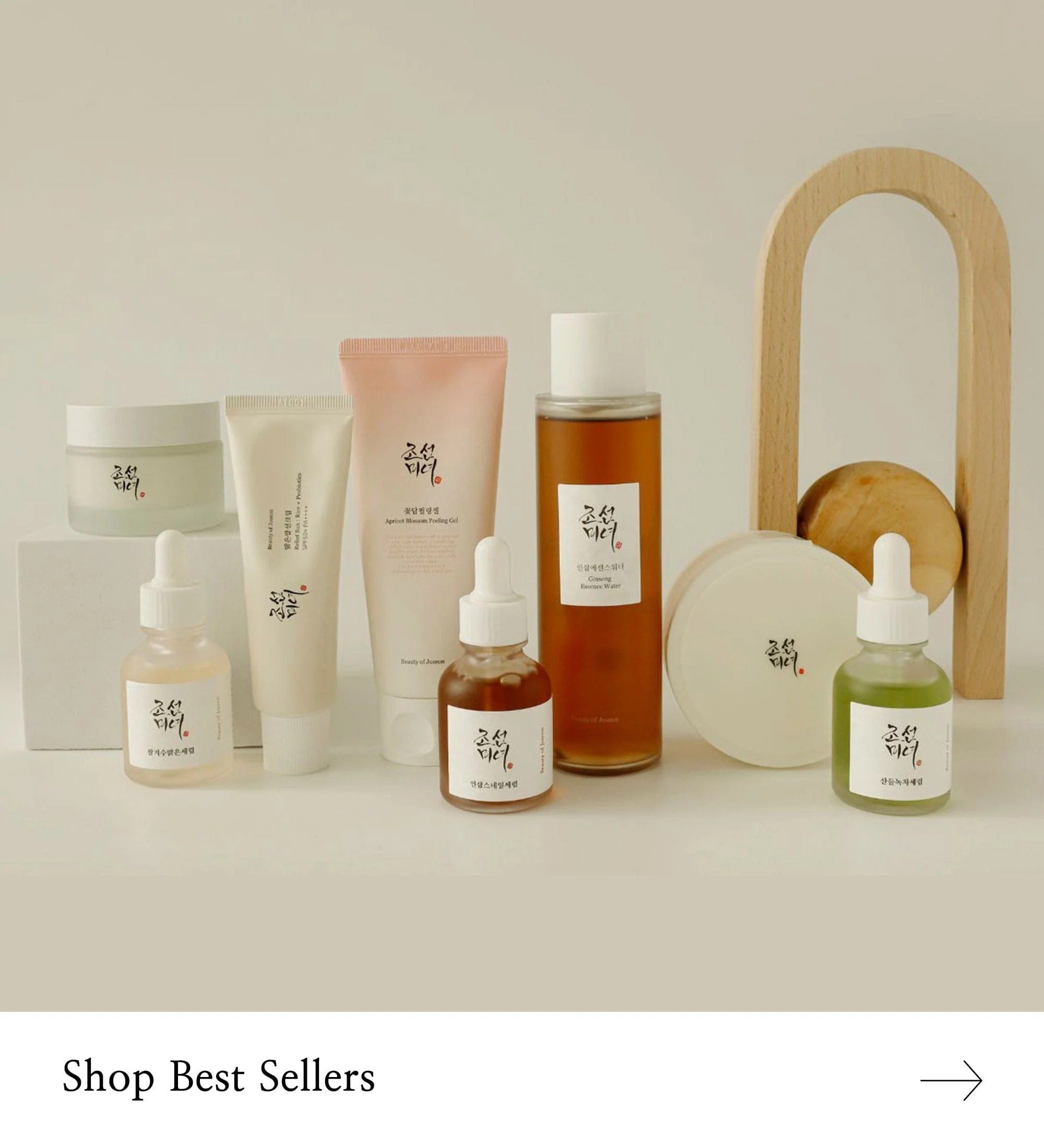Beauty of Joseon Matte Sun Stick – Mugwort and Camellia SPF 50+ PA++++  18g