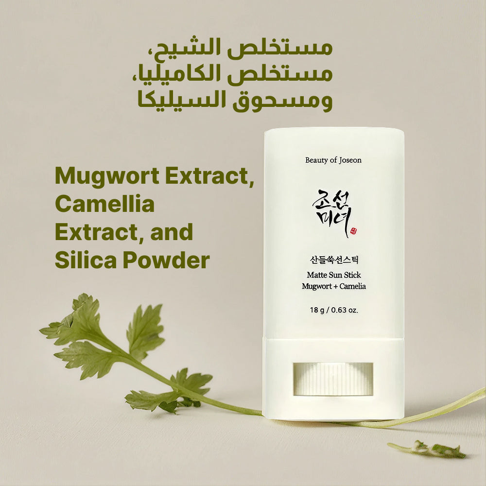 Beauty of Joseon Matte Sun Stick – Mugwort and Camellia SPF 50+ PA++++  18g