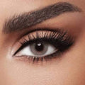Diva-Colored-Lens-Grace-