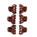 Titania Hair Clip 6 Pieces 7947