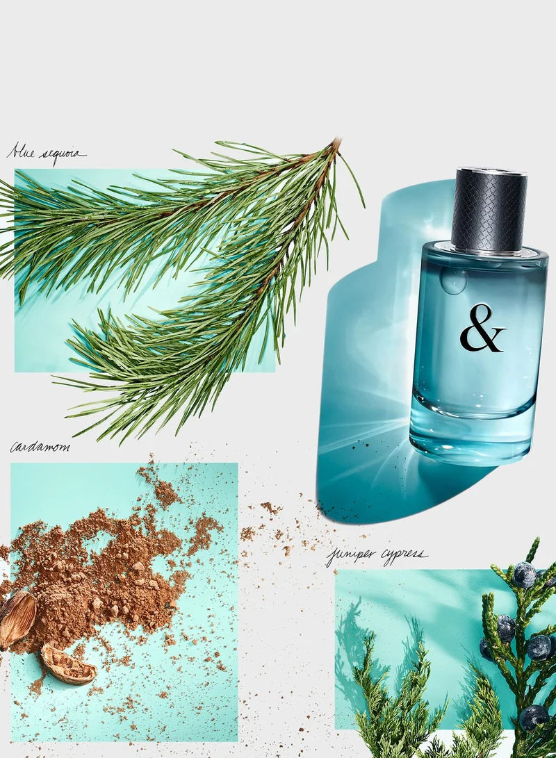 Tiffany & Co. Love For Him Edt 90ml
