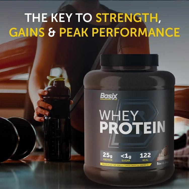 Basix Muscle Whey Protein Chocolate Chunk 5 LB