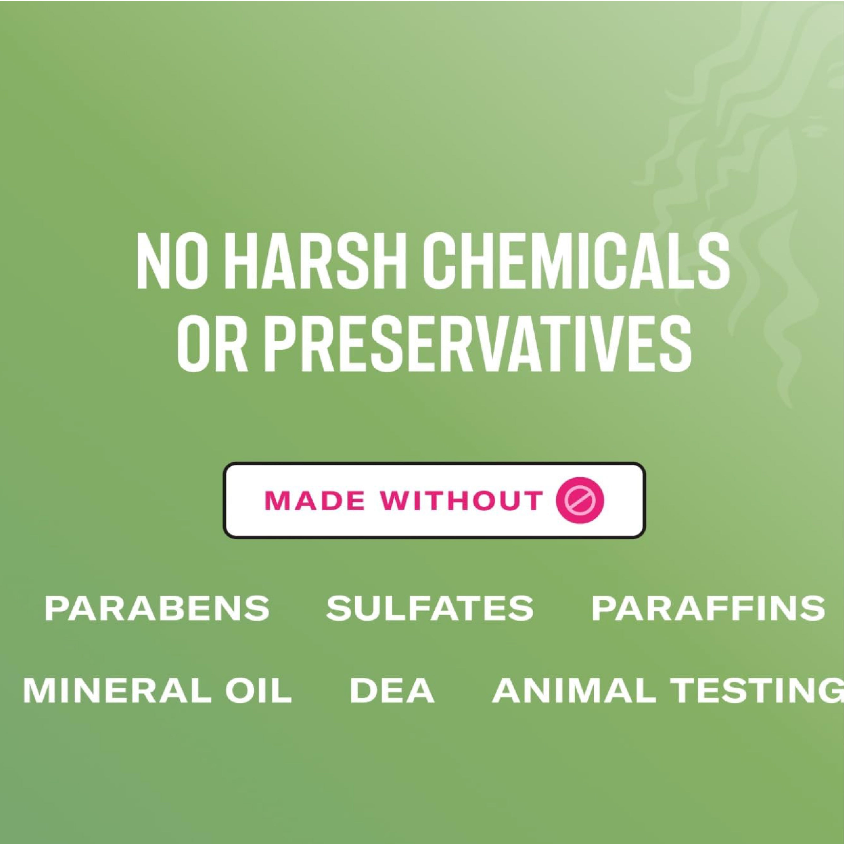 Mielle Hair Oil 59ml With Rosemary Mint