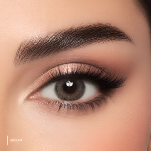 Ms Lens Daily Lenses Argan