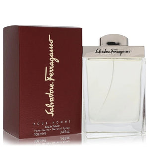 Salvatore Ferragamo Pour Homme Eau De Toilette 100 ml