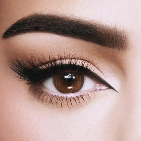 Amara Daily Lenses 10Lenses Toffee