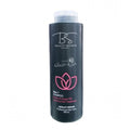 Beauty secrets hair shampoo 400ml protein & argan
